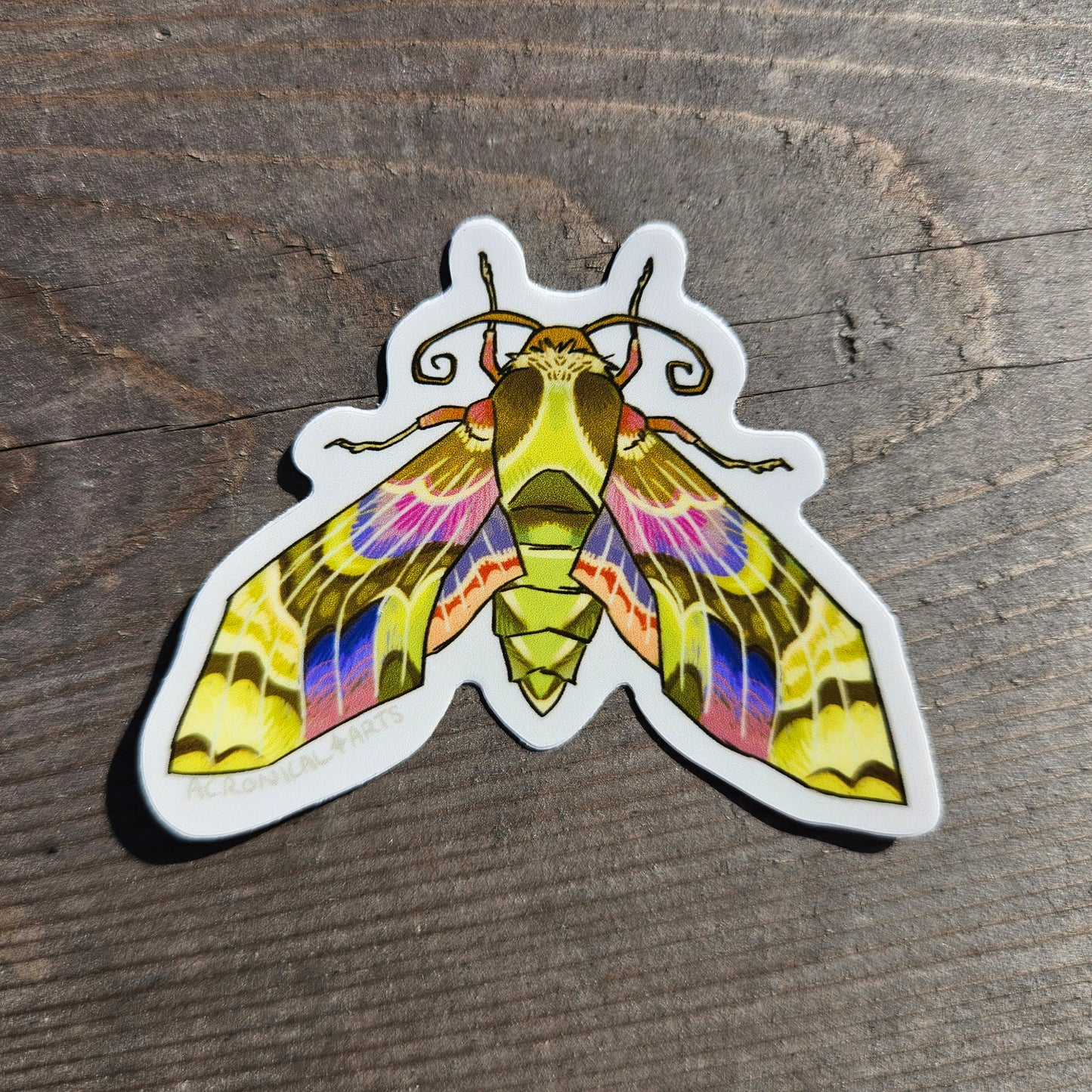 Hawkmoth - Sticker