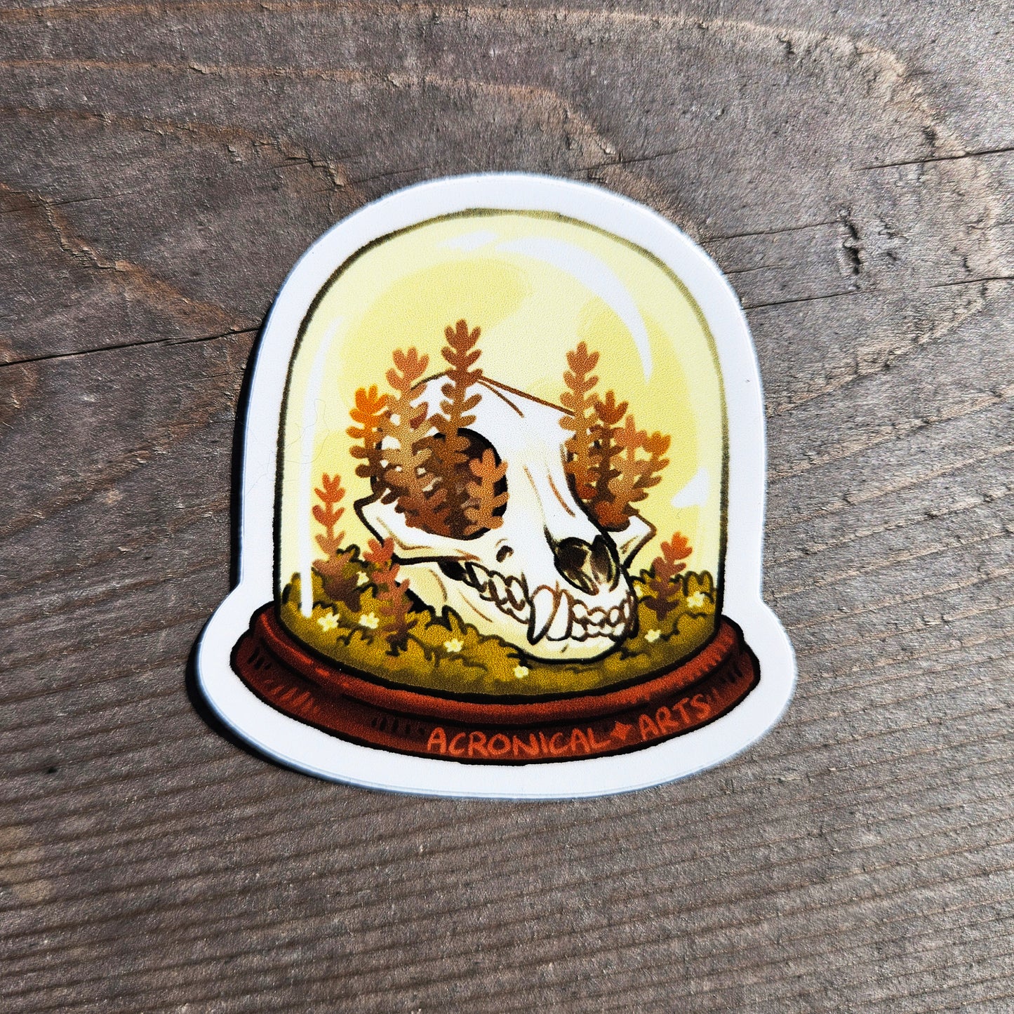 Skull Display - Sticker