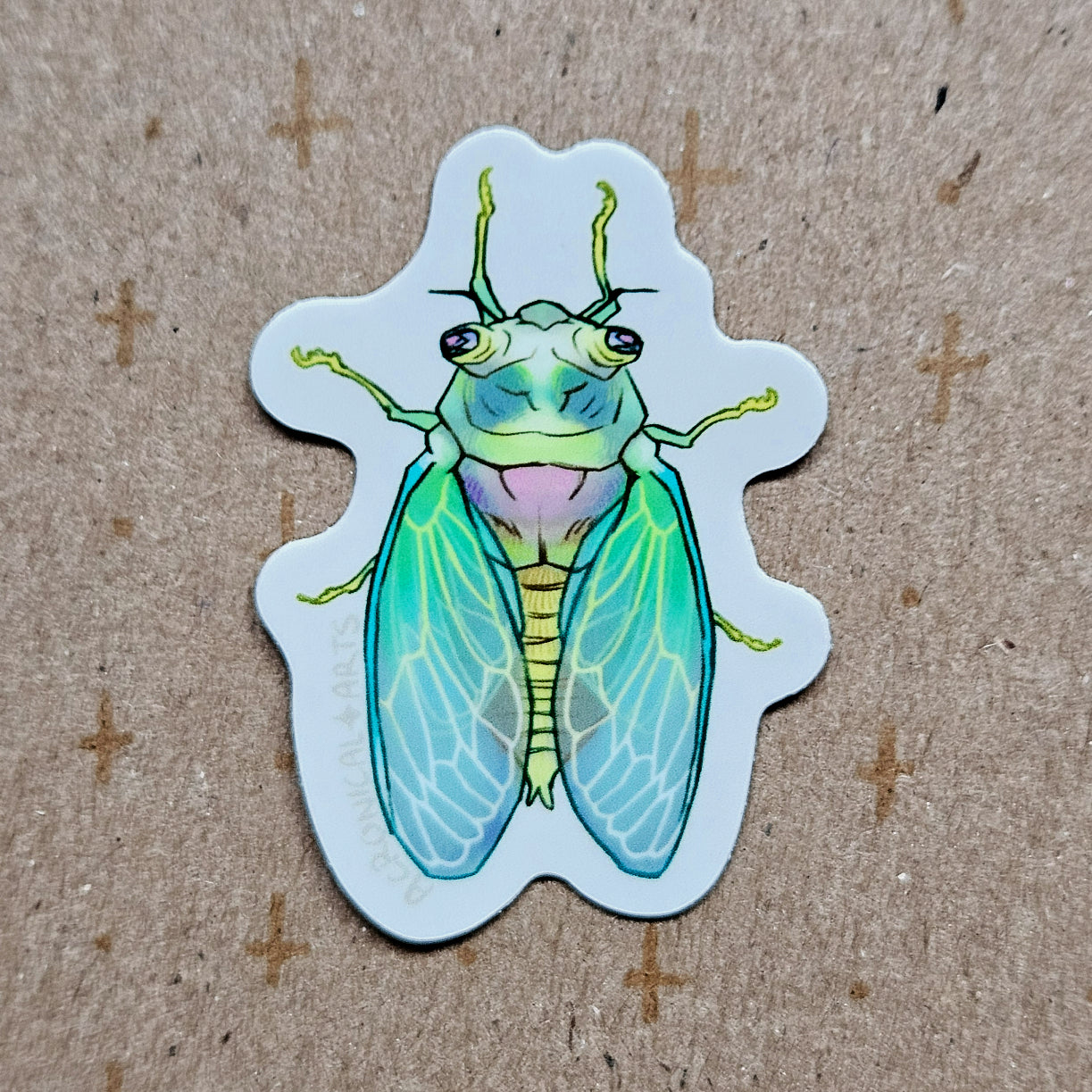 Cicada - Sticker