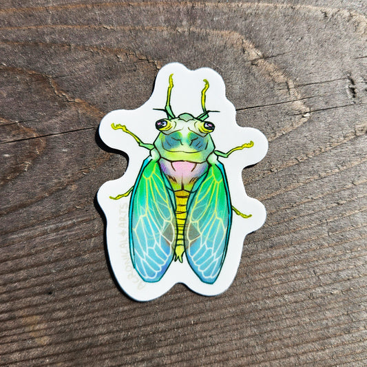 Cicada - Sticker