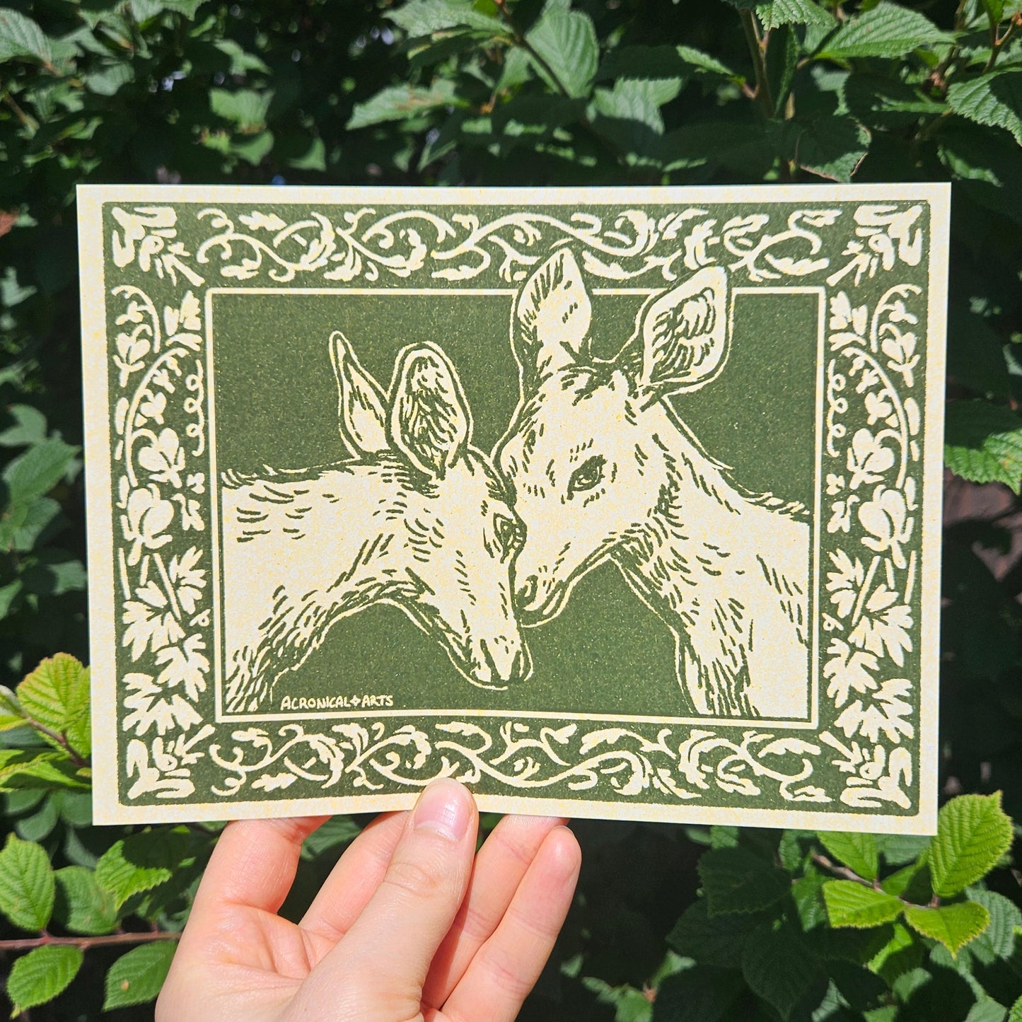 Two Deer - Print